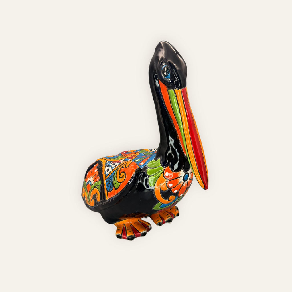 Amanda – The Pelican